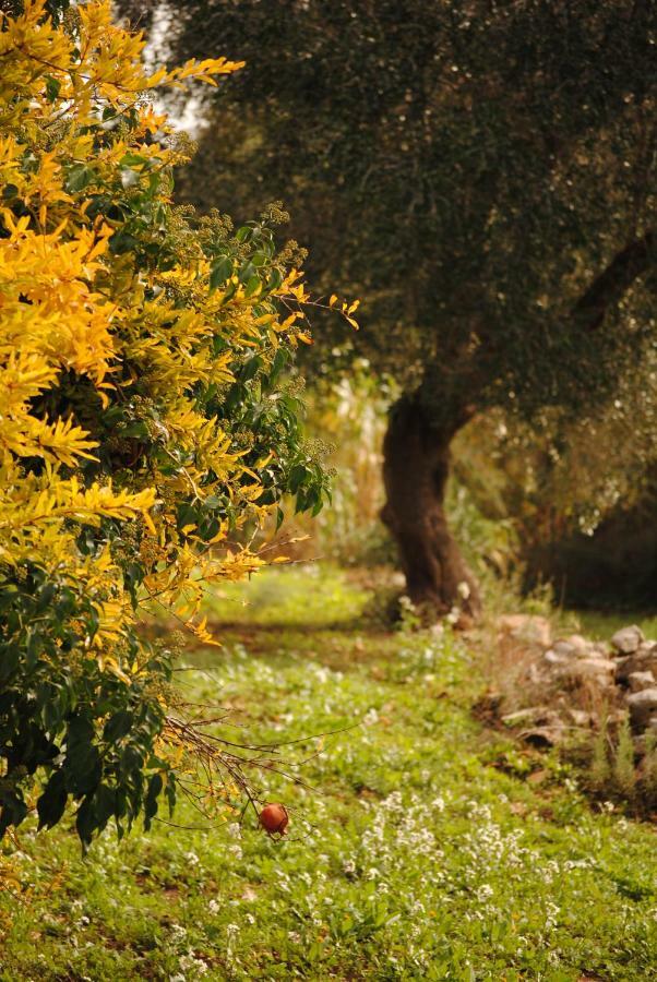 Bed and Breakfast Il Giardino Di Viola Челье-Мессапика Экстерьер фото