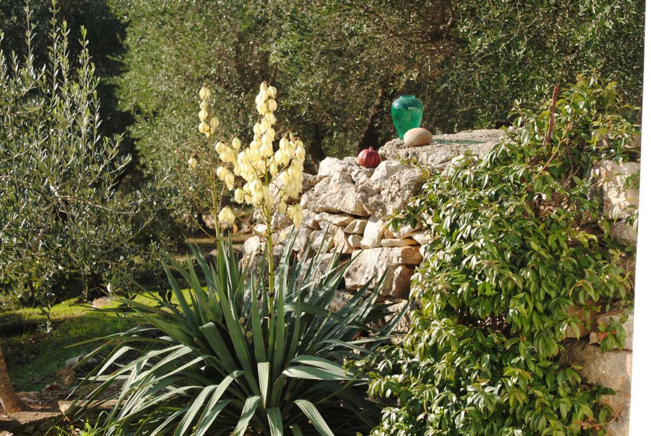 Bed and Breakfast Il Giardino Di Viola Челье-Мессапика Экстерьер фото