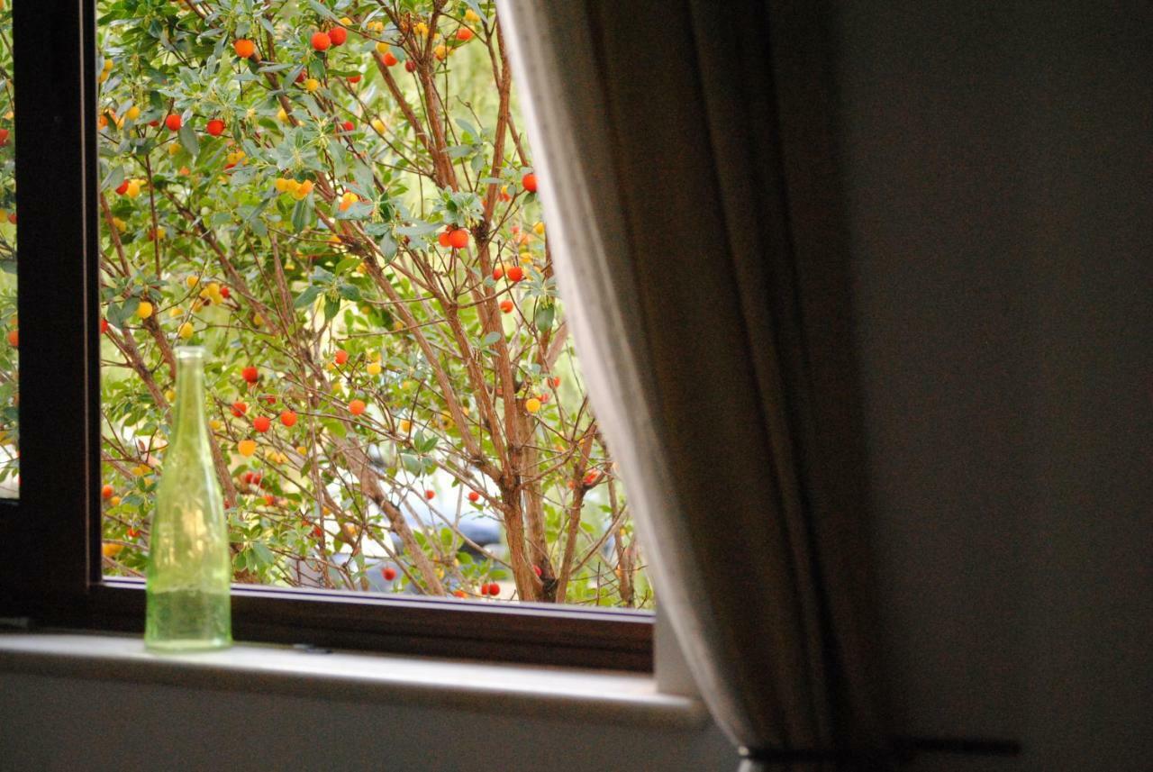 Bed and Breakfast Il Giardino Di Viola Челье-Мессапика Экстерьер фото