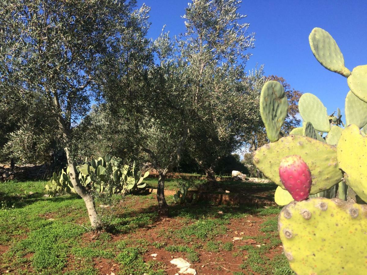 Bed and Breakfast Il Giardino Di Viola Челье-Мессапика Экстерьер фото